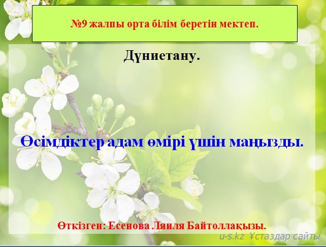 Өсімдіктер адам өмірі үшін маңызды.